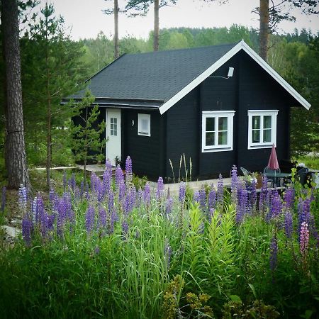 Froeya Timber Cottage Arvika Luaran gambar
