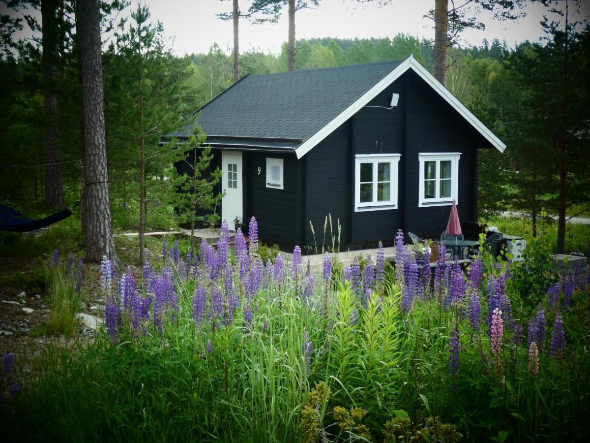 Froeya Timber Cottage Arvika Luaran gambar