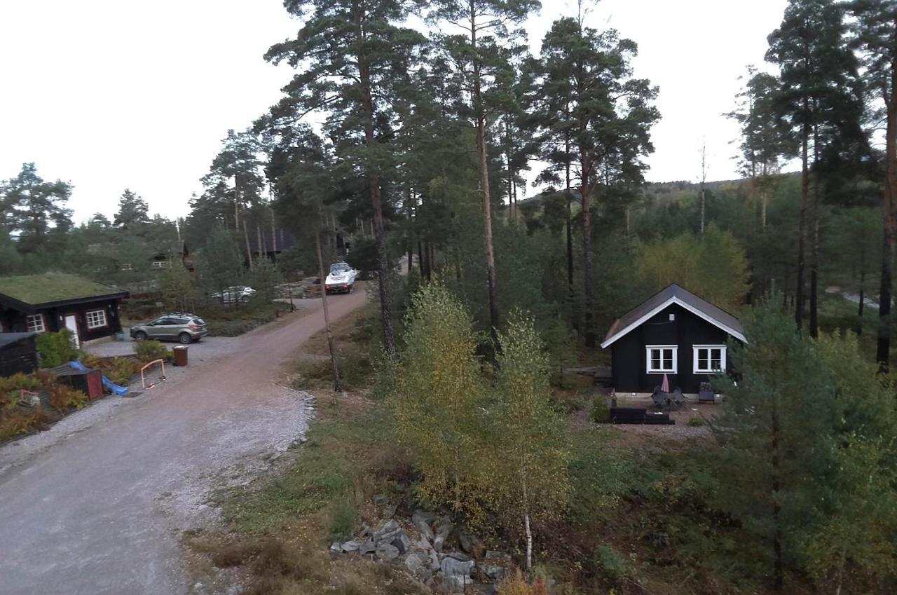 Froeya Timber Cottage Arvika Luaran gambar